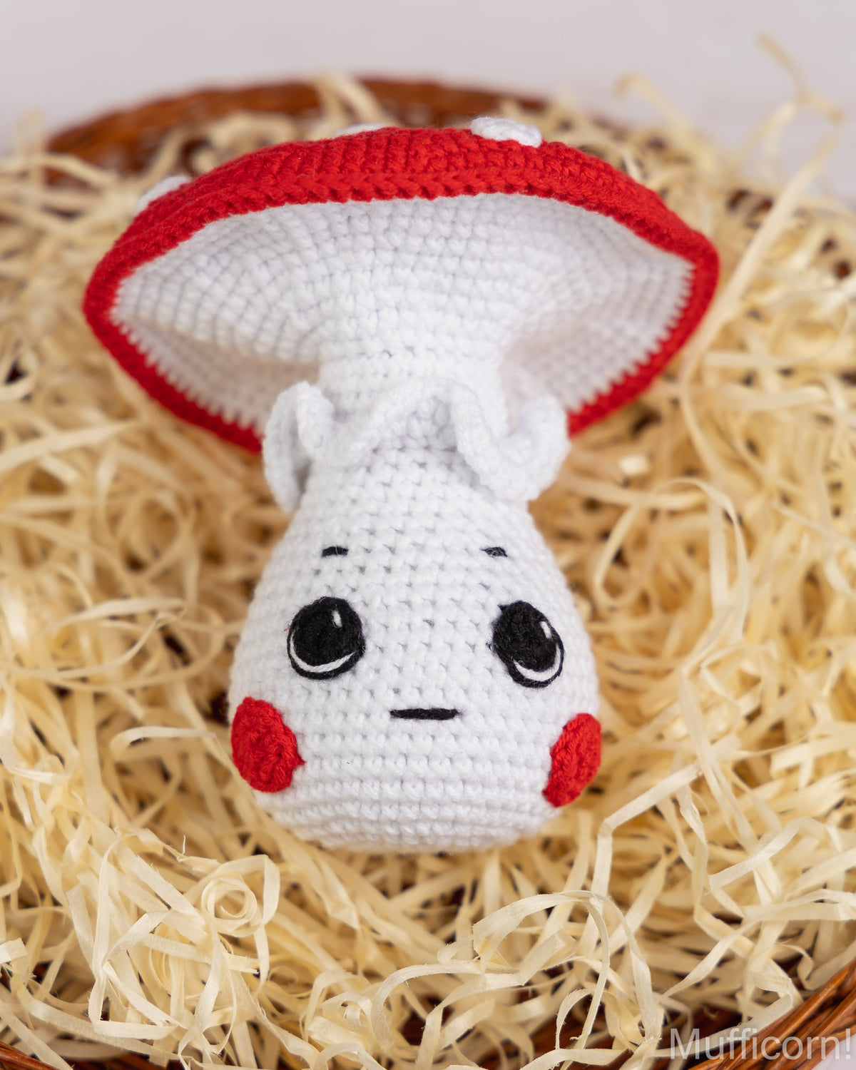 Crochet mushroom boy amigurumi pattern