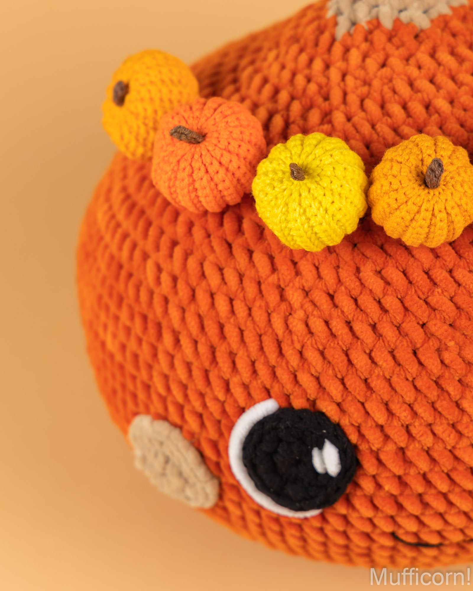 Plushy Pumpkin with pumpkins