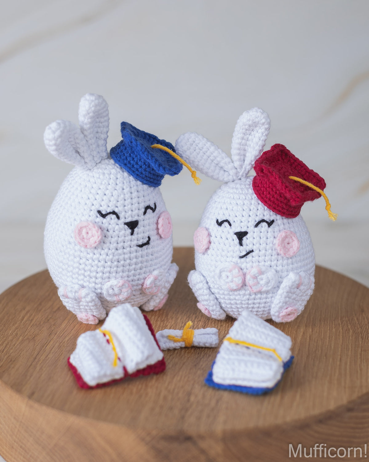 Crochet graduation bunnies with books amigurumi pattern