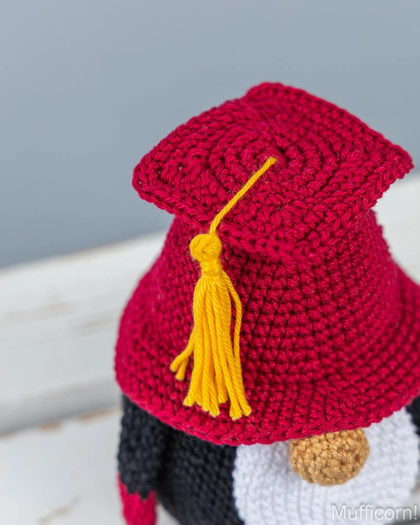 Graduation Gnome/Teacher