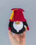 Graduation Gnome/Teacher
